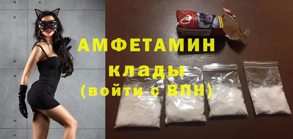 стафф Алексин