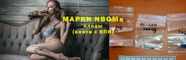 стафф Алексин