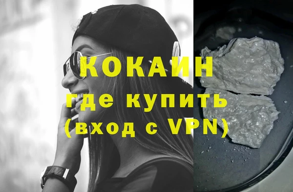 стафф Алексин